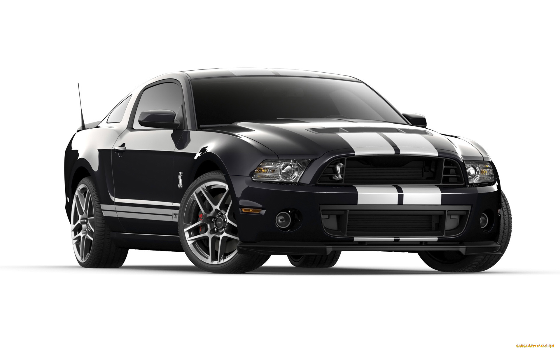 , mustang, ford, shelby, gt500